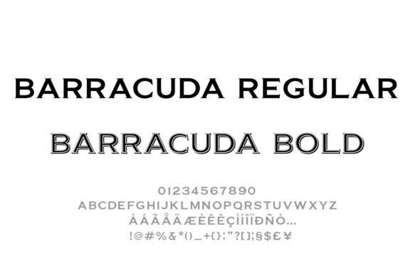 Barracuda Font for Handmade Creations