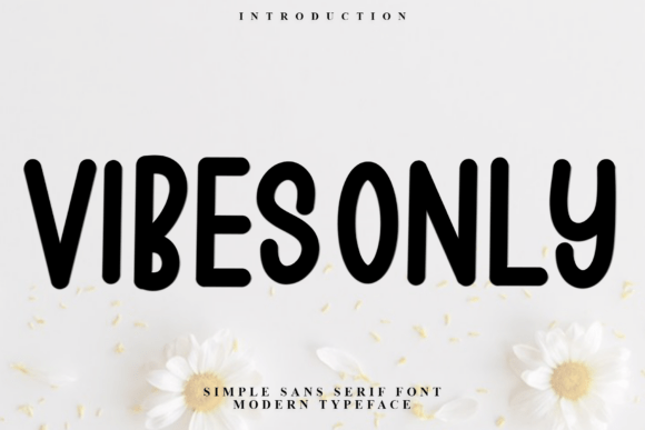 Vibes Only: The Festive Font That Elevates Holiday Campaigns